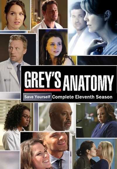 مشاهدة مسلسل Greys Anatomy موسم 11 حلقة 3
