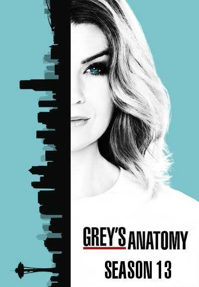 مشاهدة مسلسل Greys Anatomy موسم 13 حلقة 16