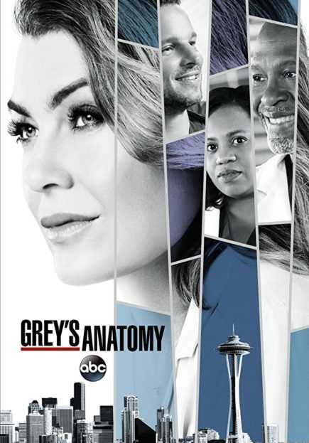 مشاهدة مسلسل Greys Anatomy موسم 14 حلقة 24 والاخيرة