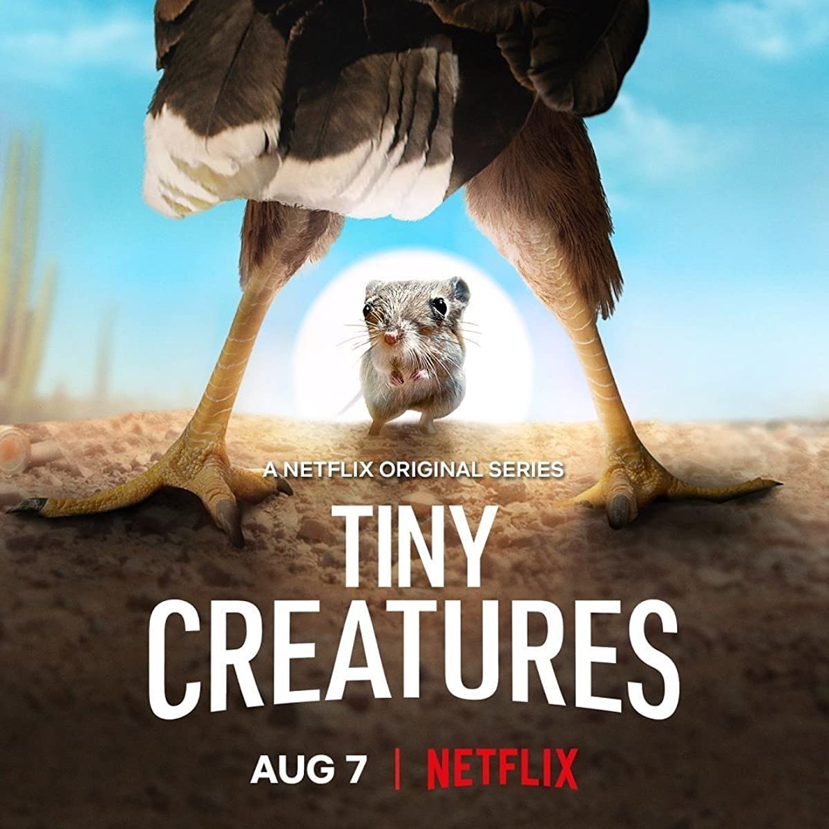 مشاهدة مسلسل Tiny Creatures موسم 1 حلقة 5