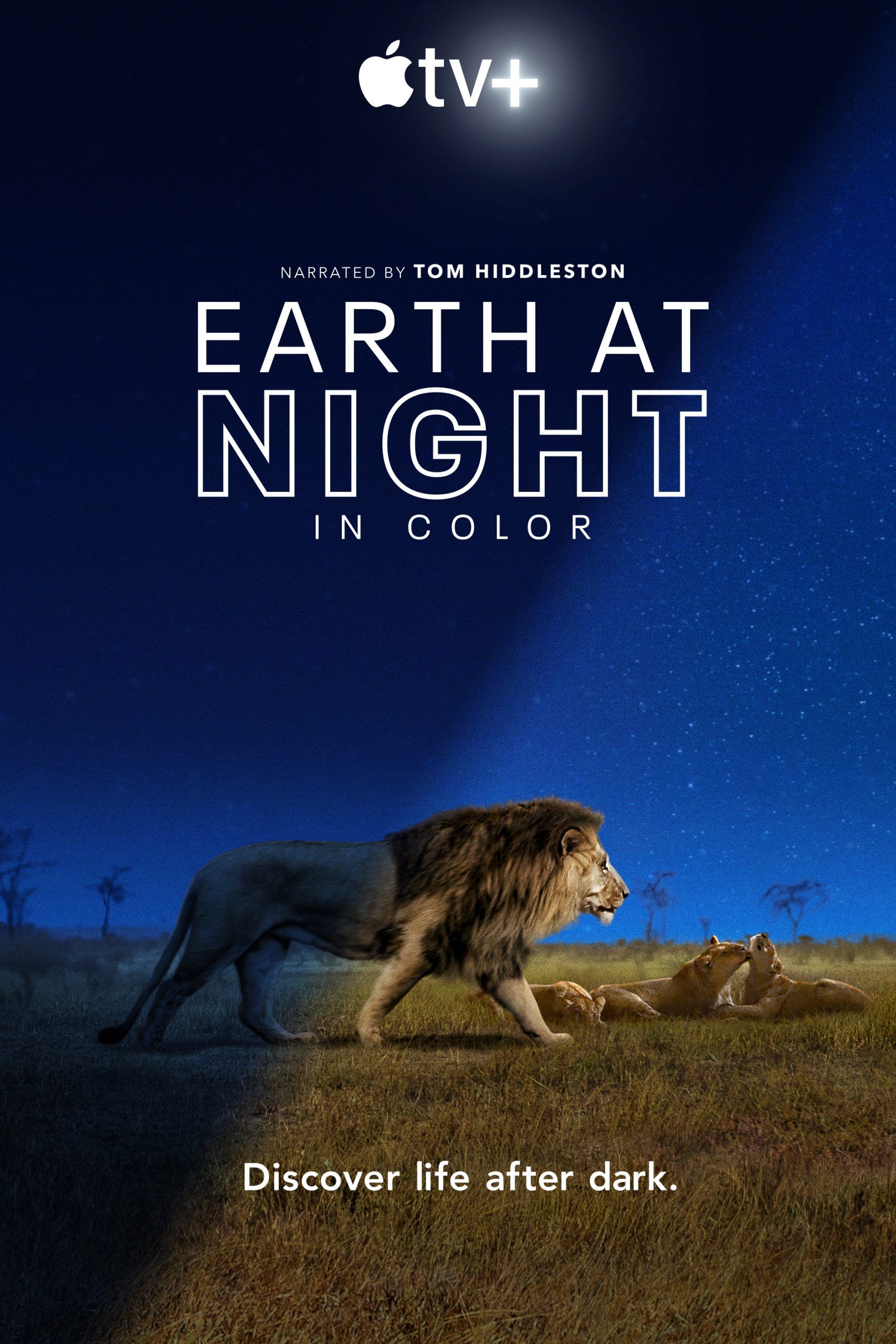 مشاهدة مسلسل Earth at Night in Color موسم 1 حلقة 4