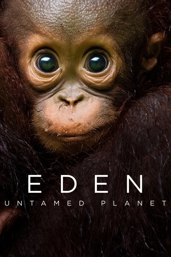 مشاهدة مسلسل Eden: Untamed Planet موسم 1 حلقة 4